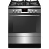 Кухонная плита Hansa FCMX69205