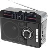 Радиоприемник Ritmix RPR-205