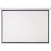 Проекционный экран Future Vision Video 200x150 W200VMW